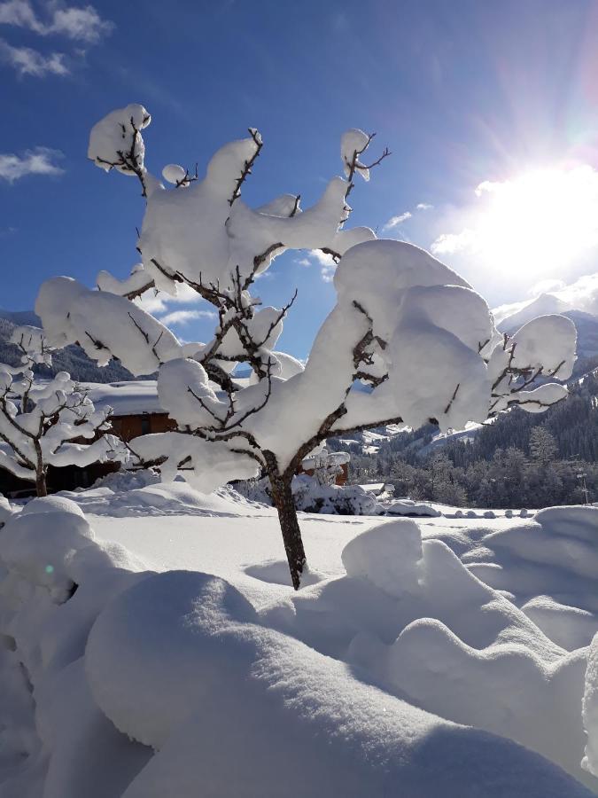 Haus Gmahblick Ferienwonungen Hotel Alpbach Ngoại thất bức ảnh