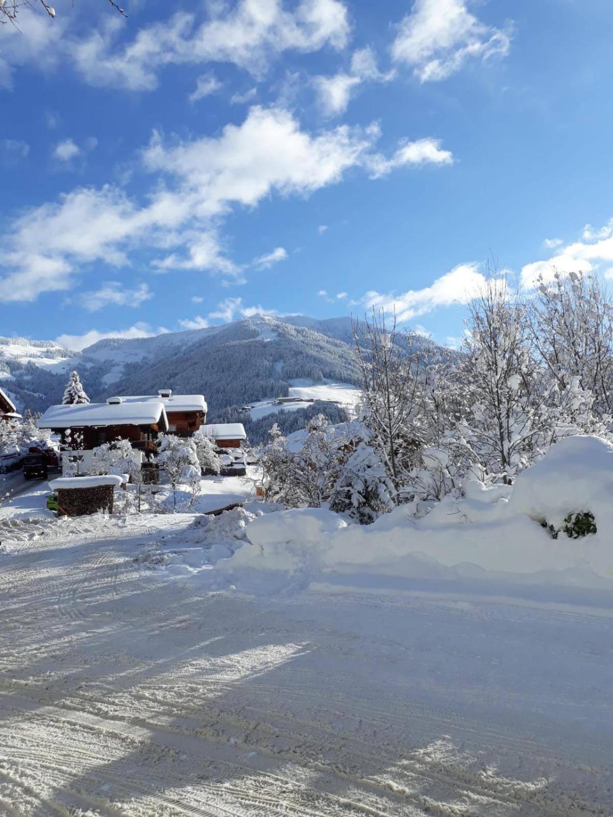 Haus Gmahblick Ferienwonungen Hotel Alpbach Ngoại thất bức ảnh